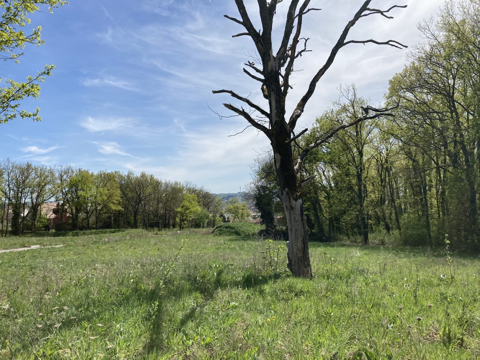 Programme neuf Le Clos des bleuets à Creuzier-le-Vieux — visuel 1 sur 1