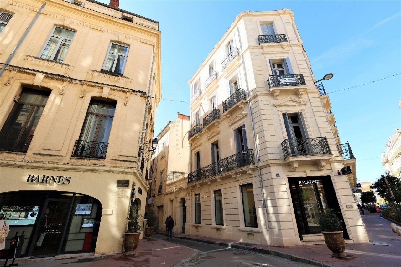 RUE DU PETIT SCEL à Montpellier — visuel 1 sur 1