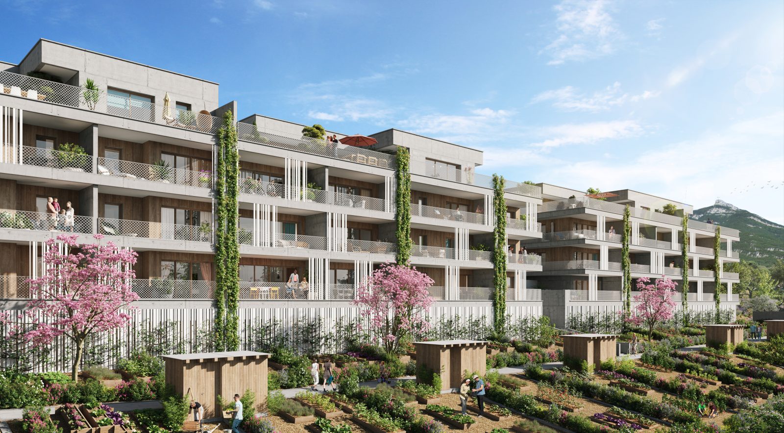 ARBOR&SENS à Bassens — visuel 1 sur 1
