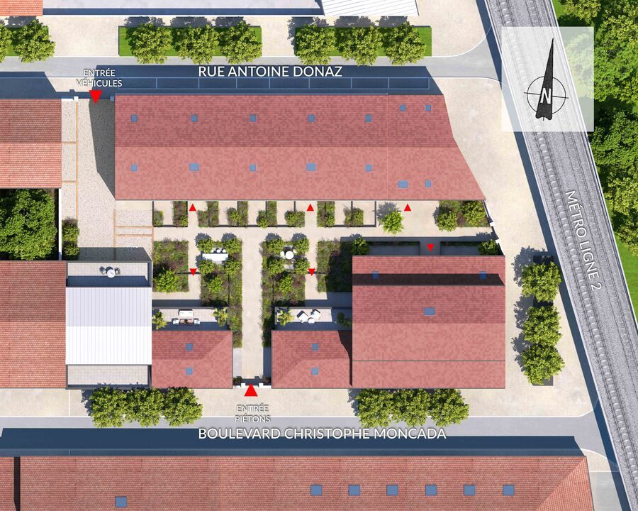 LA TULIPE à Marseille — visuel 1 sur 1